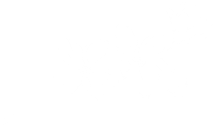 uuyy.png