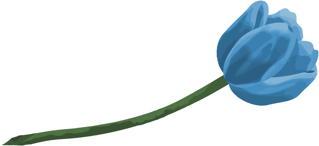 apsaridandanpng14