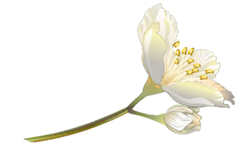 khyfr8.png