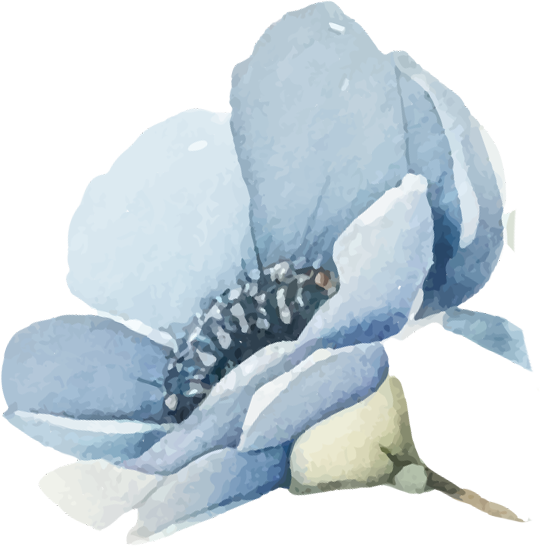 affanilmapng12