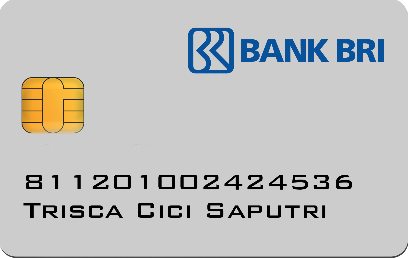 cicisendypng05