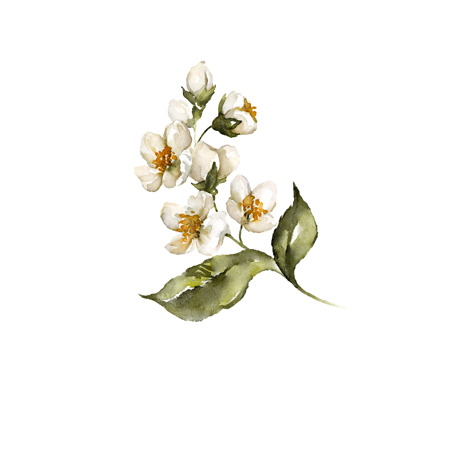 bismifajarpng21 bismifajarpng21